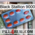 Black Stallion 9000 06